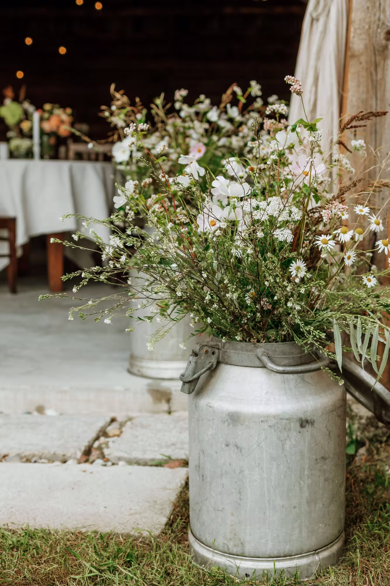 Innovation and solutions with beautiful cannas flowers